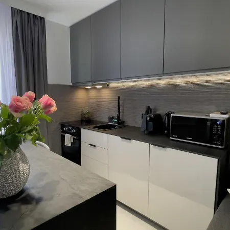 Urban Apartments Premium, Opolska 10 No 89, Free Garage, Self Check-In Katovice Exteriér fotografie