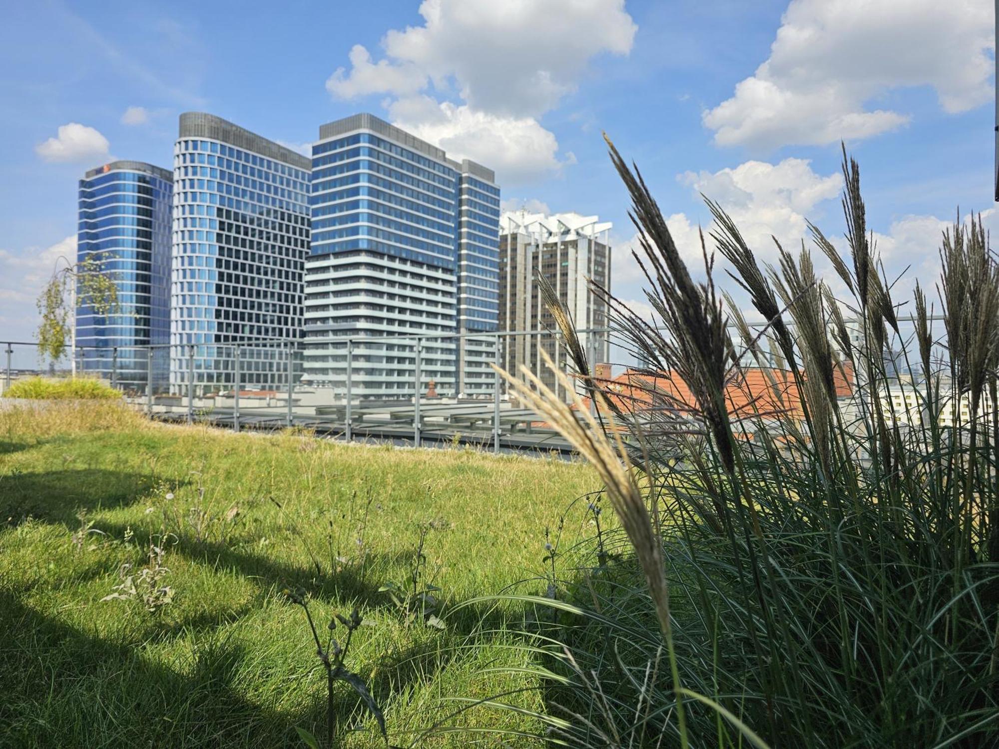 Urban Premium, Opolska 10 No 89, Free Garage, Self Check-in Katovice